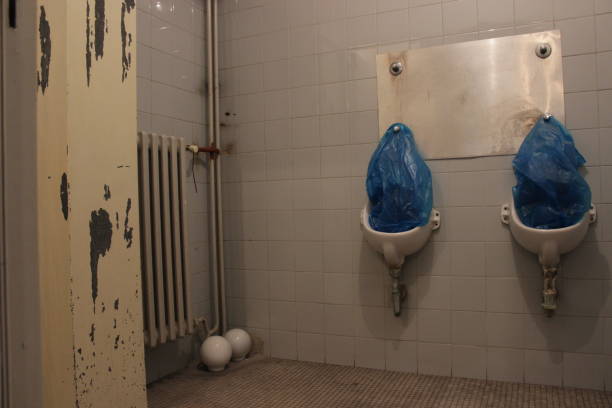 istock Toilet disaster to be renewed 870169016
