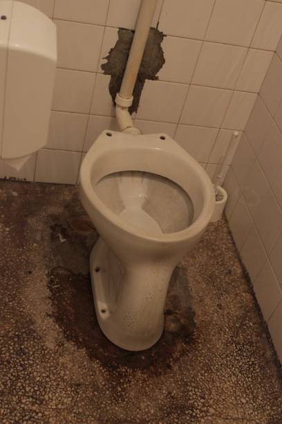 istock Toilet disaster to be renewed 870169090
