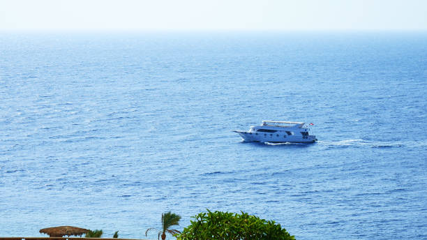istock Powerboats and ship s sails along tropical sea 870173748
