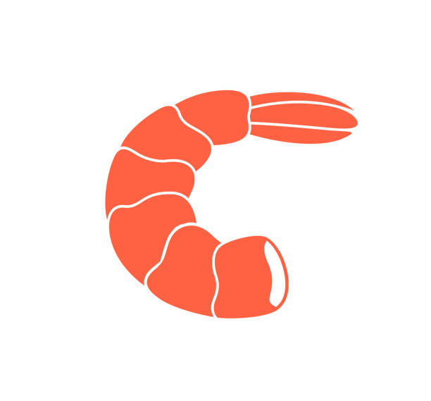 ilustrações de stock, clip art, desenhos animados e ícones de shrimp seafood. isolated shrimp on white background - shrimp