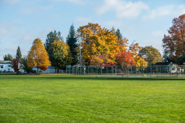 istock Autumn In The Neighborhood 2 870184846