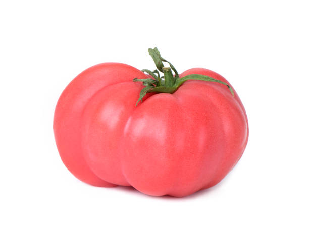 tomate de boeuf rose sur fond blanc - tomato beefsteak tomato heirloom tomato pink photos et images de collection