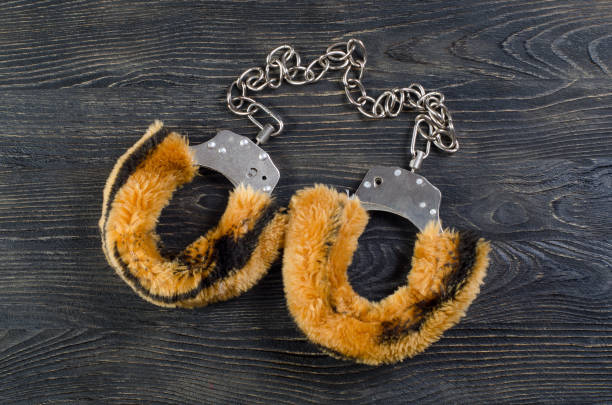 istock Handcuffs for role-playing games in the fur 870192256