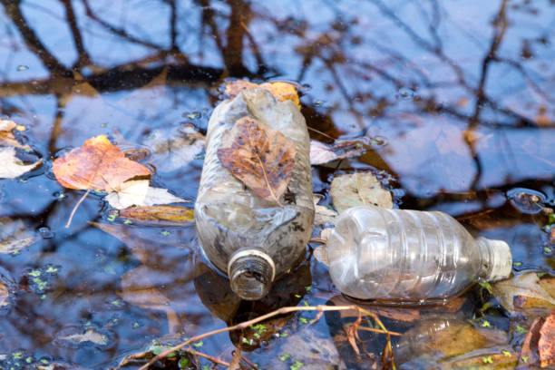 istock Discarded plastic bottles in fresh water Lake with fall leaves. 870198710