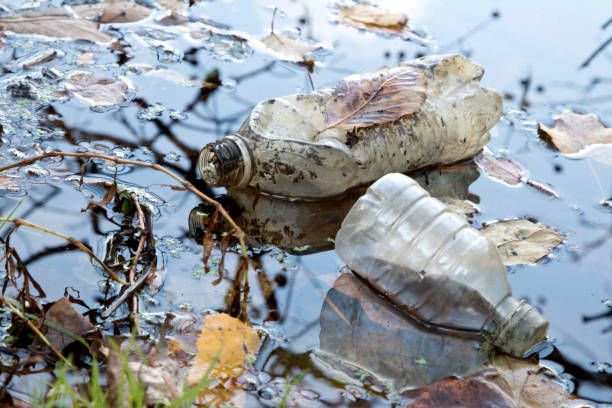 istock Environmental Pollution discarded plastic bottles in fresh water Lake with fall leaves 870198724