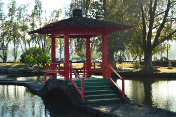 istock Japanese park In Hawaii 870198854