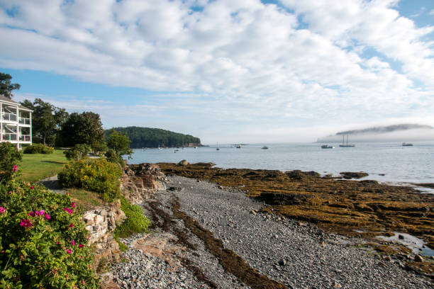 istock Running path in Bar Harbor Maine 870200250