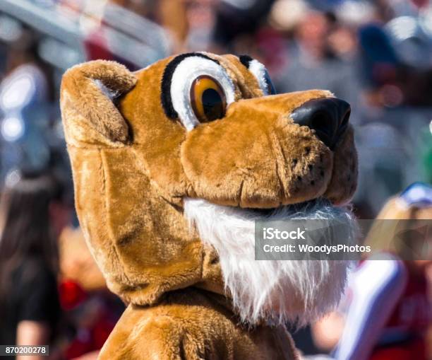 Mascot Head Stock Photo - Download Image Now - Mascot, Education, American Football - Sport