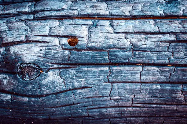 bright wood texture that glows inside a beautiful natural background