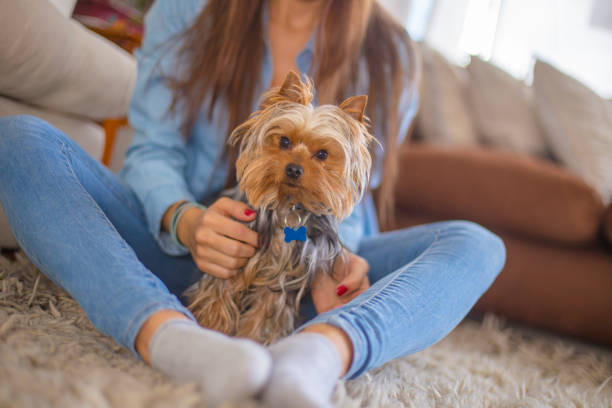 istock Beauty woman stroking her dog 870204022