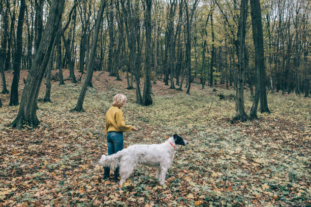 istock Girl walking with her dog in forest 870204200