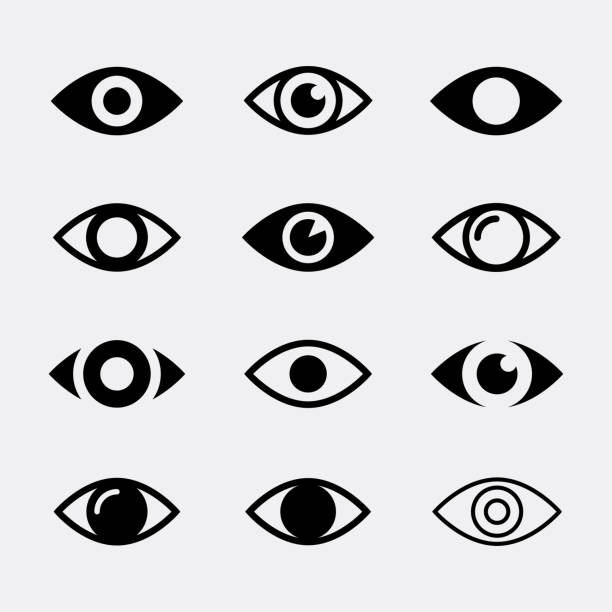 Eyes vector icons Eyes vector icon set. Collection symbols of open human eye. Eyes icons isolated on white background. Look and vision icons. Eye signs in the flat style for website and apps. eyeball stock illustrations