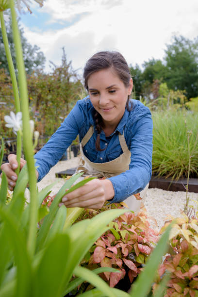 istock cute girl working in a tree nursery 870210266