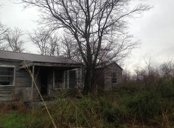 istock Abandoned house in the woods 870210512