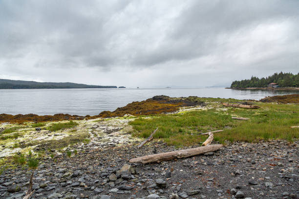 istock Rocky Shore in Alaska 870214076