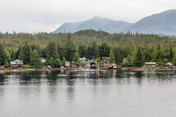 istock Shore Near Ketchikan Alaska 870214142