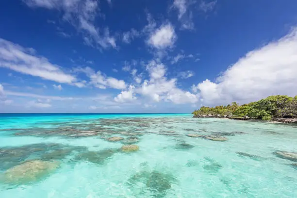 Beautiful turquoise-blue natural paradise lagoon, white sandy beaches surrounded with palm trees under blue summer sky. UNESCO Nature Biosphere Reserve. Fakarava Atoll, Tuamotu Islands Archipelago, French Polynesia