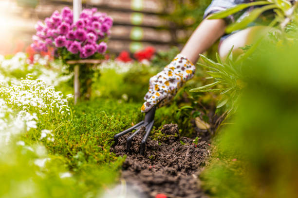 istock Guardian of nature 870222670