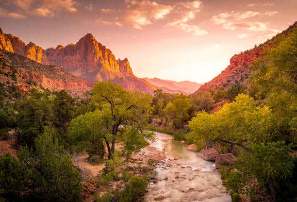 istock Golden Hour at Zion 870226040