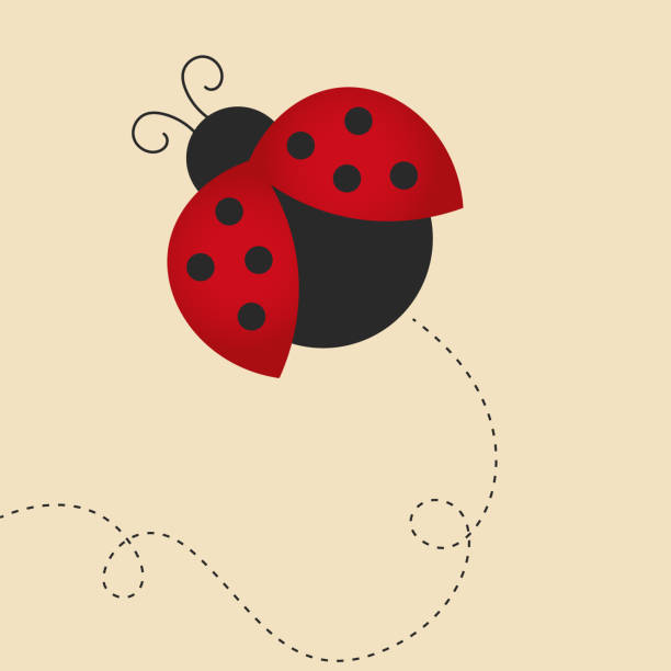 flying lady bug flying lady bug on beige background, dots on the wings, dark grey body ladybird stock illustrations