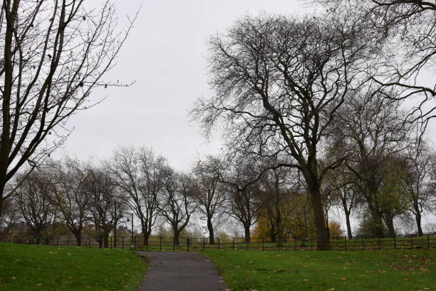 istock The edge of park with Autumn Trees 870233334