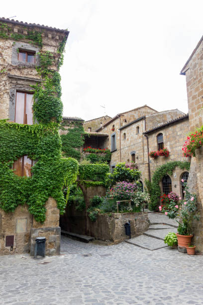 istock Civita of Bagnoregio 870237200