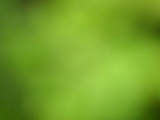 istock blur nature foliage background 870239790