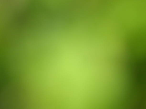 istock blur nature foliage background 870239796