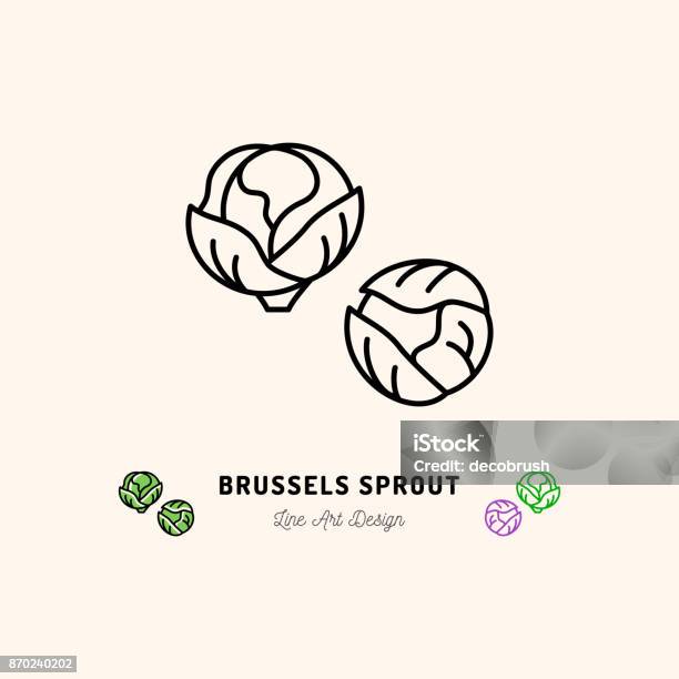 Brussel Sprouts Icon Vegetables Cabbage Thin Line Art Desig Stock Illustration - Download Image Now