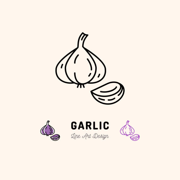 Garlic icon Vegetables  Spice. Thin line art desig Garlic icon Vegetables . Garlic clove, Spice. Thin line art design, Vector outline illustration garlic bulb stock illustrations