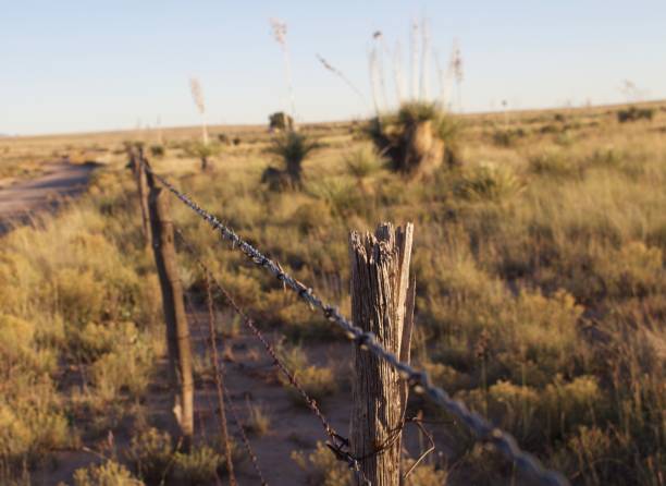 istock Barbed Wire Fence Running along Roadside 870250694