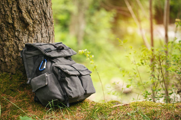 istock Backpack for travel on the tree in the forest 870255582