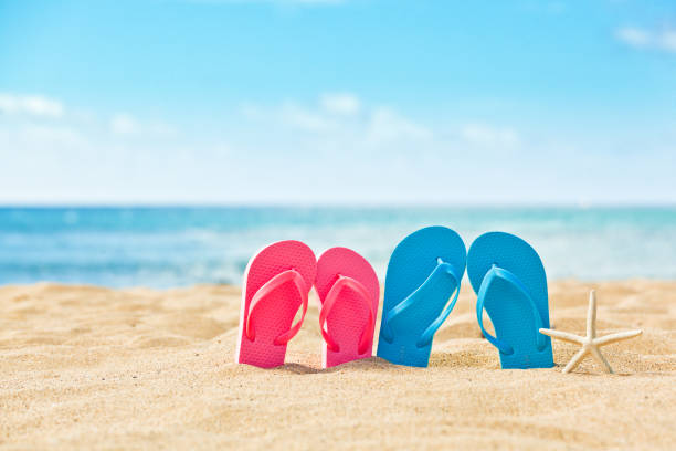 590 Ocean Pacific Flip Flops Stock Photos Pictures Royalty Free 590 Ocean Pacific Flip Flops Stock Photos Pictures Royalty Free
