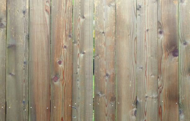 The wooden boards of a suburban cedar privacy fence look pastel when they're wet in the rain.