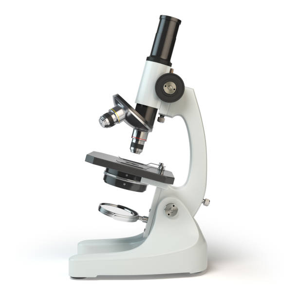 Microscope isolated on white background. Microscope isolated on white background. 3d illustration microscope stock pictures, royalty-free photos & images