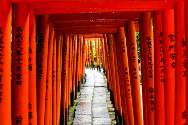 The bright oragne torii gates found at the Nezu Shrine in Tokyo, Japan.