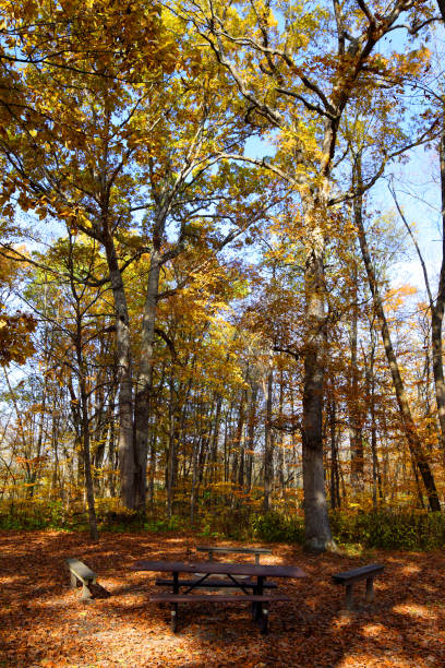 istock Autumn at Moraine View State Park 870296172