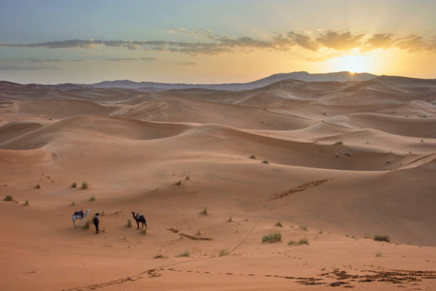 istock Sunrise in sand desert 870304228