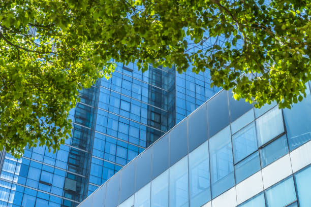 istock Details of a modern office building with leaves 870307246