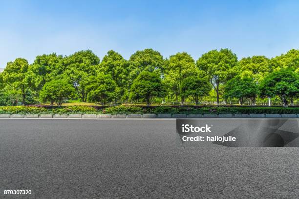 Asphalt Road And Forest Stock Photo - Download Image Now - Tree, Road, Street