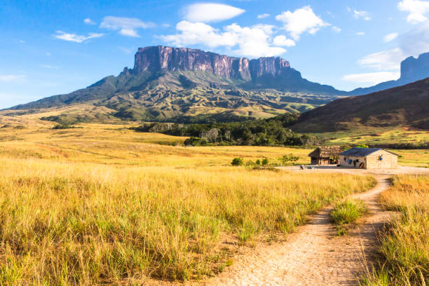 monte roraima - venezuela fotografías e imágenes de stock