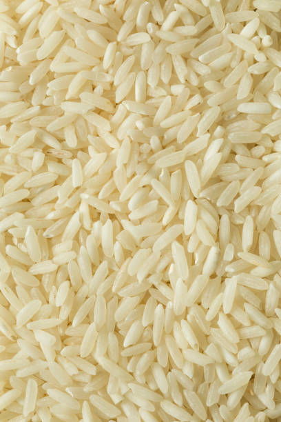istock Organic Dry Long Grain White Rice 870312180