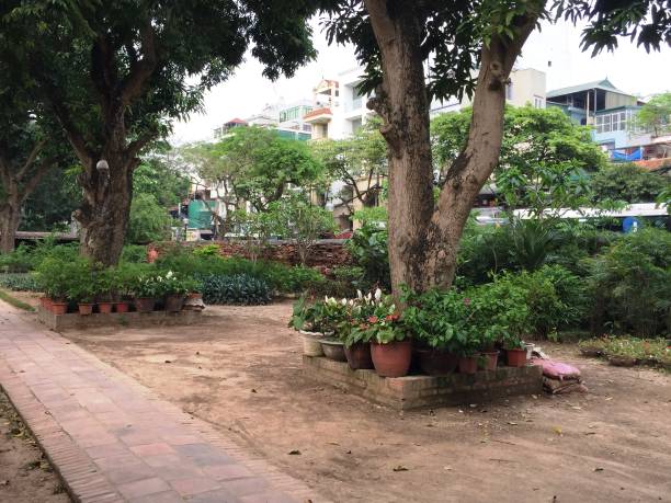 istock Secret garden within the temple. 870326958