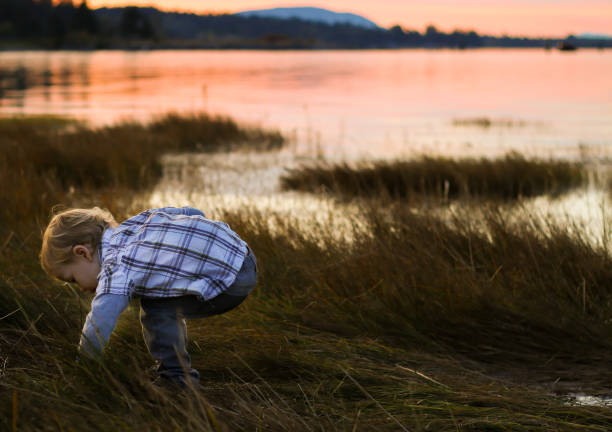 istock Freedom in Childhood 870329574