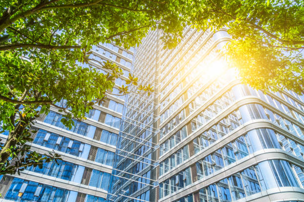 istock Modern office building with green plant 870344606