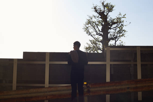View Over Fence 790+ Person Looking Over Fence Stock Photos, Pictures & Royalty-Free ...