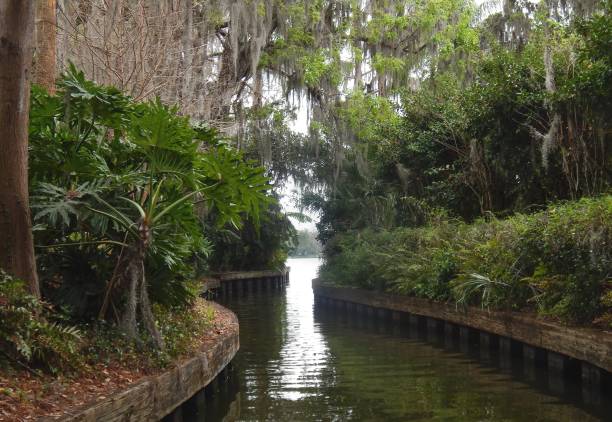 Reflections of palm trees in spring water at Juniper Springs in Ocala National Forest.