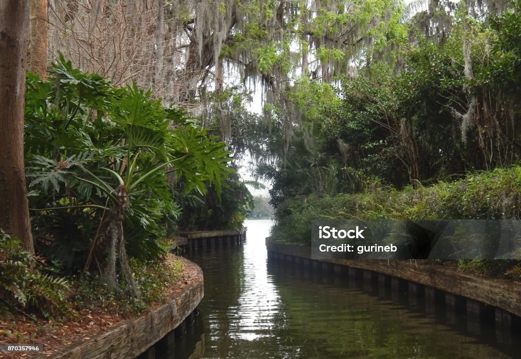 Channel Opening to the Lake channel between lakes, spring Florida - US State Stock Photo
