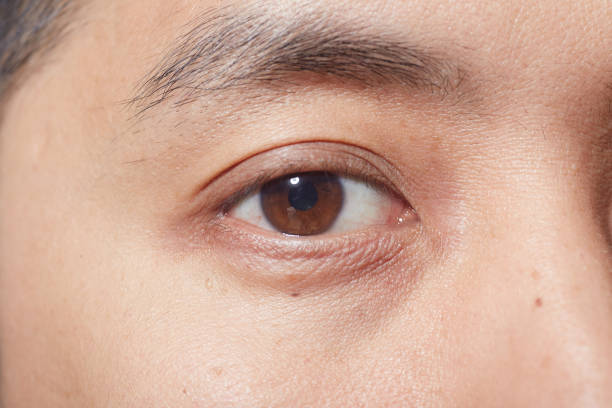 A macro close-up of a Japanese woman's brown eyeballs.