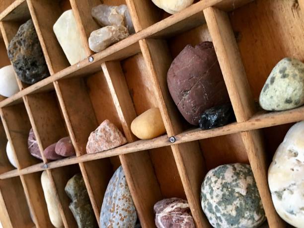 The bougainvillea petal rests on the soft stones.